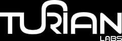 Turian Lab Strategic Foresight & Innovation Strategy Consulting
